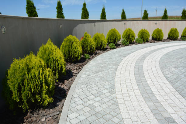 Best Permeable Paver Driveway  in Wright City, MO